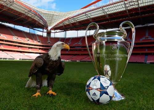 韩旭：请不要让谣言和恶意揣测去伤害一直为中国女篮努力的人